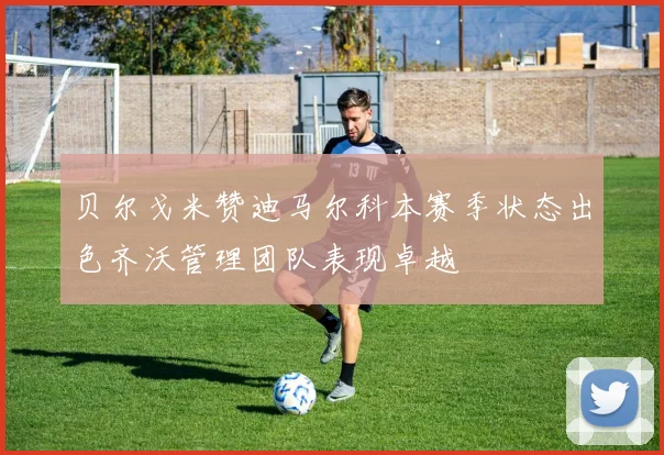 贝尔戈米赞迪马尔科本赛季状态出色齐沃管理团队表现卓越
