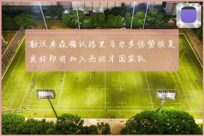 勒沃库森确认格里马尔多伤势恢复良好即将加入西班牙国家队